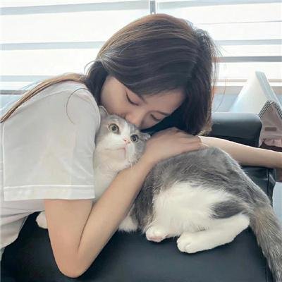 愤怒的公牛